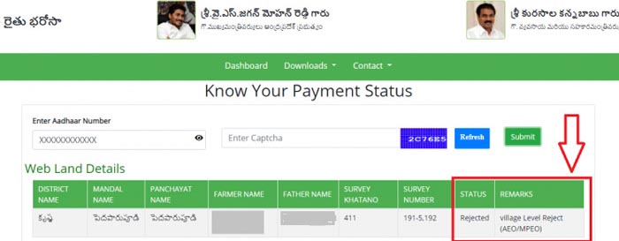 Check payment Status