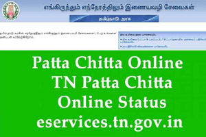 Tamil Nadu Patta Chitta Onlie Status & Poramboke Land