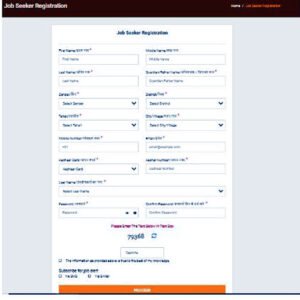 Pradhanmantri Berojgari Bhatta Yojana - Online Registration