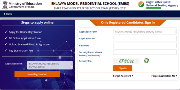 Online Registration for EMRS