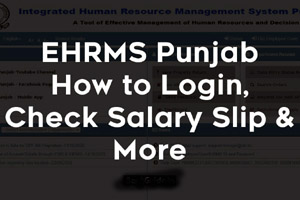 hrms.punjab.gov.in employee code