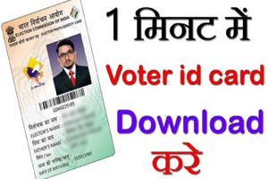 voter id card download