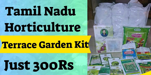 Tamilnadu horticulture terrace garden kit