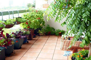 horticulture terrace garden kit