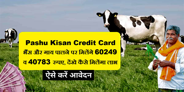 Pashu Kisan Credit Card Online Apply