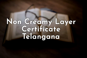 Non-Creamy Layer Certificate in Telangana