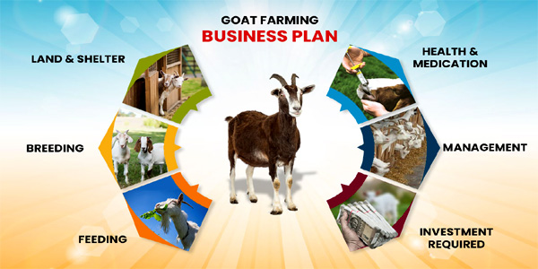 Goat Farming Loan Benefits Eligibility