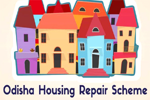 Special House Repair Assistance