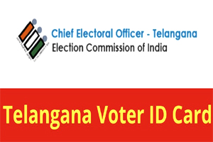 Voter ID