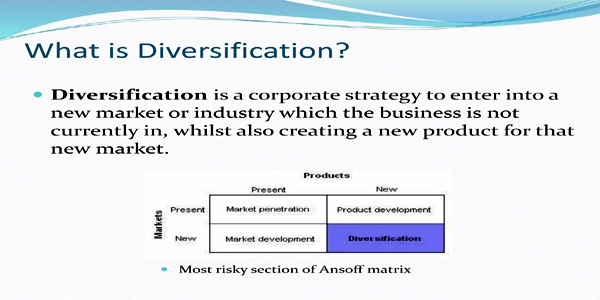 Importance of Portfolio Diversification